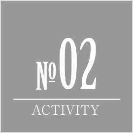 NO02 ACTIVITY