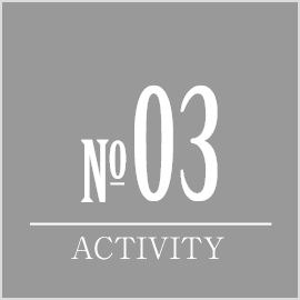 NO03 ACTIVITY