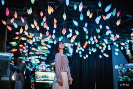 AQUARIUM×ART átoa館内イメージ