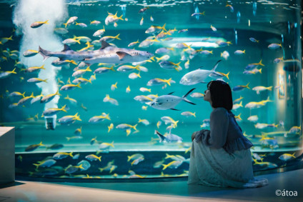 AQUARIUM×ART átoa館内イメージ