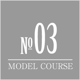 NO03 MODEL COURSE